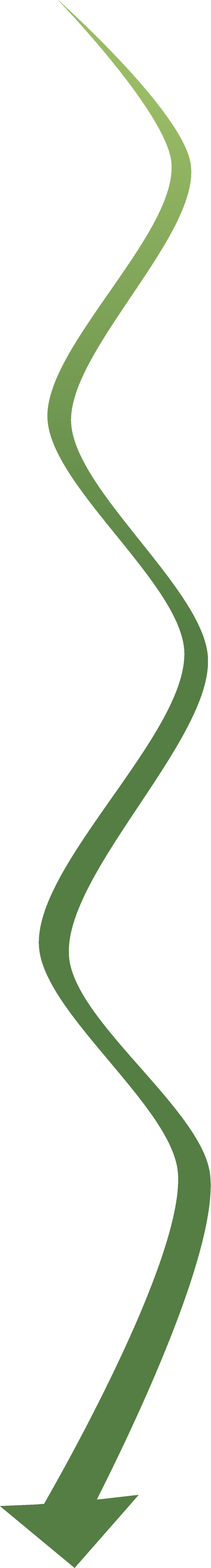 Grüner, geschwungener Pfeil, der nach unten zeigt.