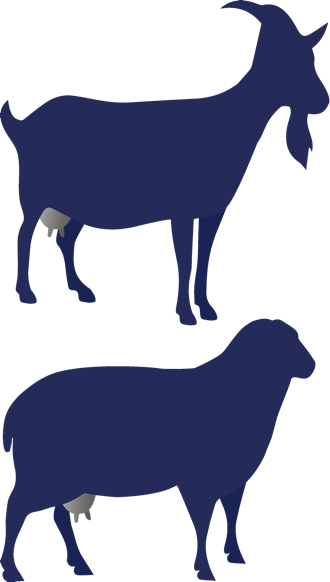 Silhouetten einer Ziege oben und eines Schafs unten, beide in dunkelblauer Farbe.