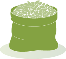 Grüner Sack gefüllt mit Reiskörnern.