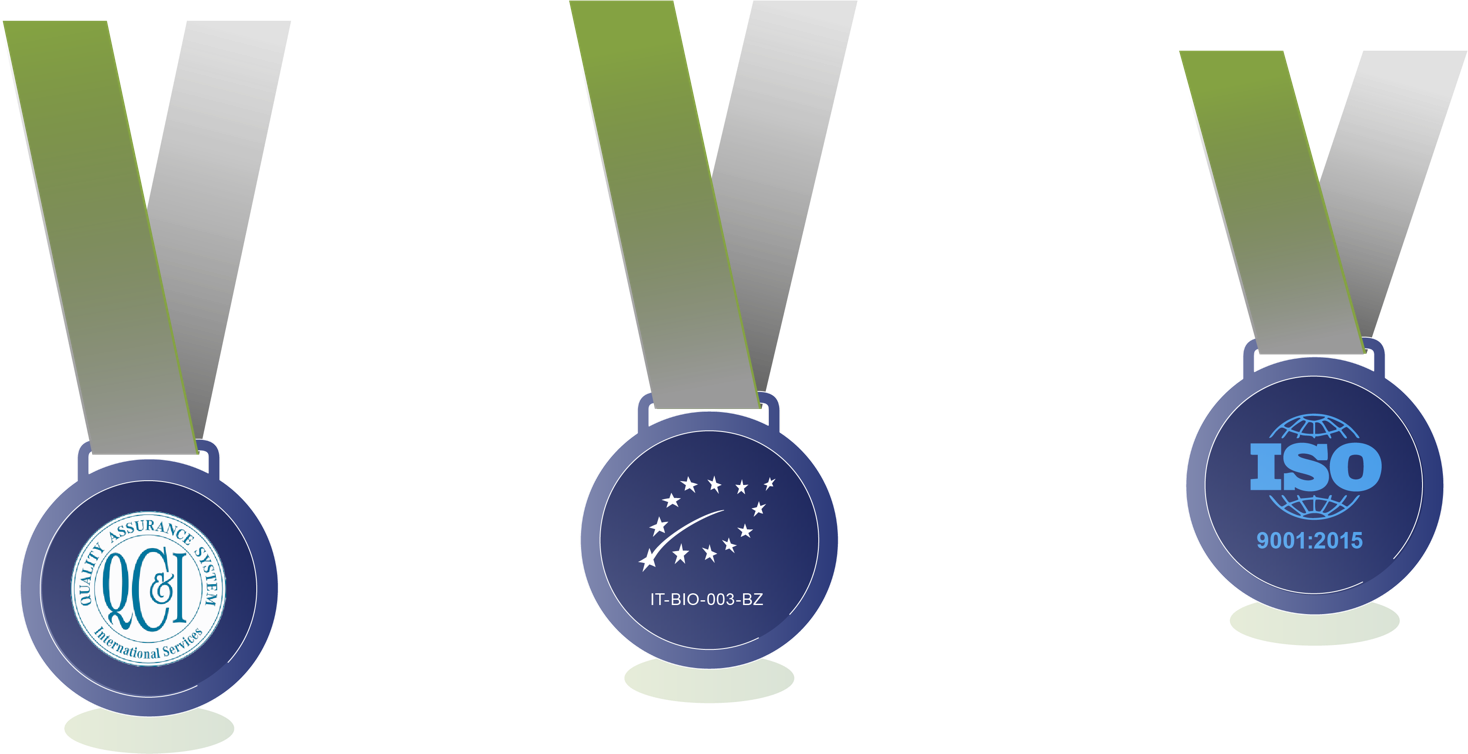 Drei Medaillen mit grünen und grauen Bändern, jede mit einem unterschiedlichen Logo oder Text in der Mitte.